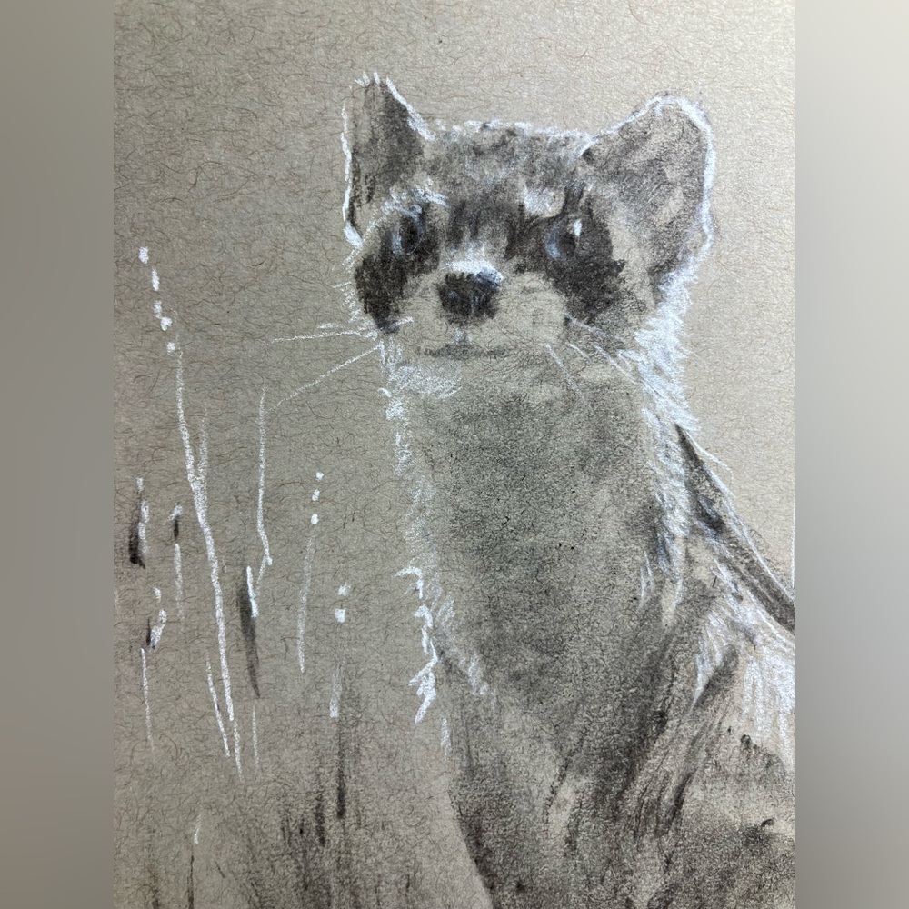 Ferret original painting charcoal pastel art animals pastels realism Artettina